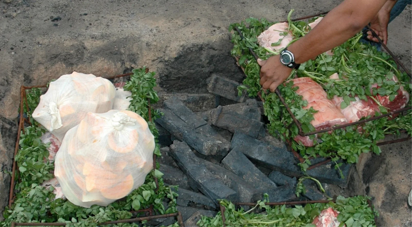 Hāngī baskets lined with watercress being lowered onto hot volcanic stones in an earth pit