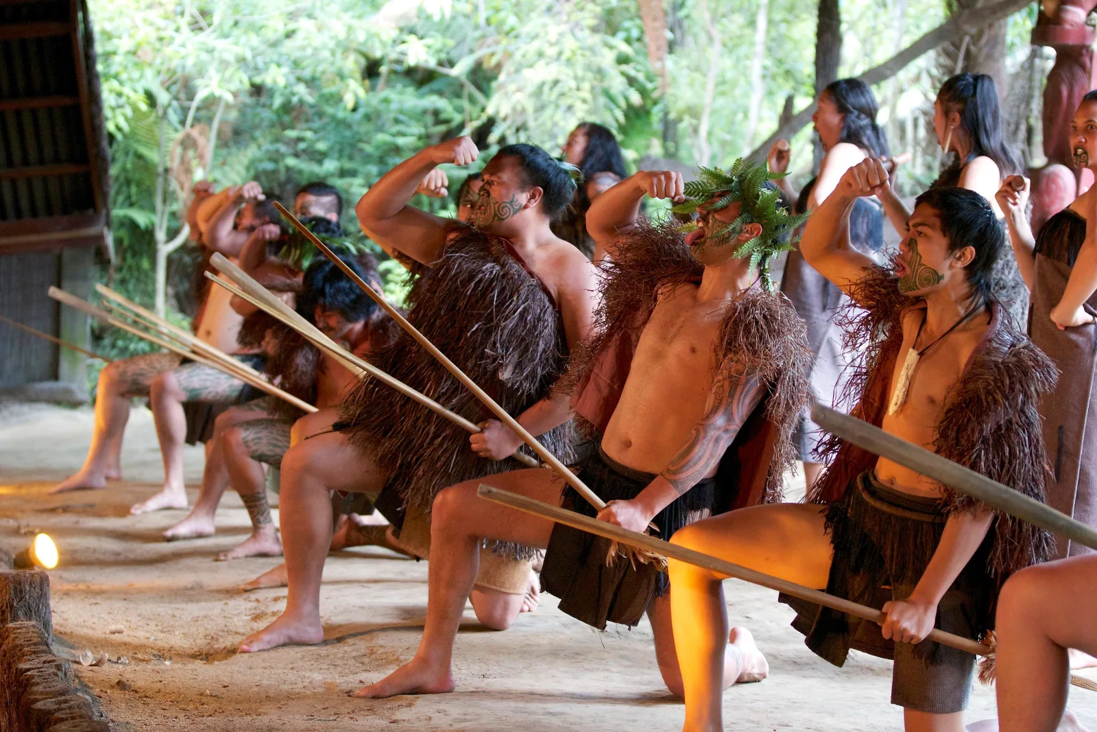 A line of Mitai warriors kneeling with taiaha during the haka, in flax piupiu and cloaks
