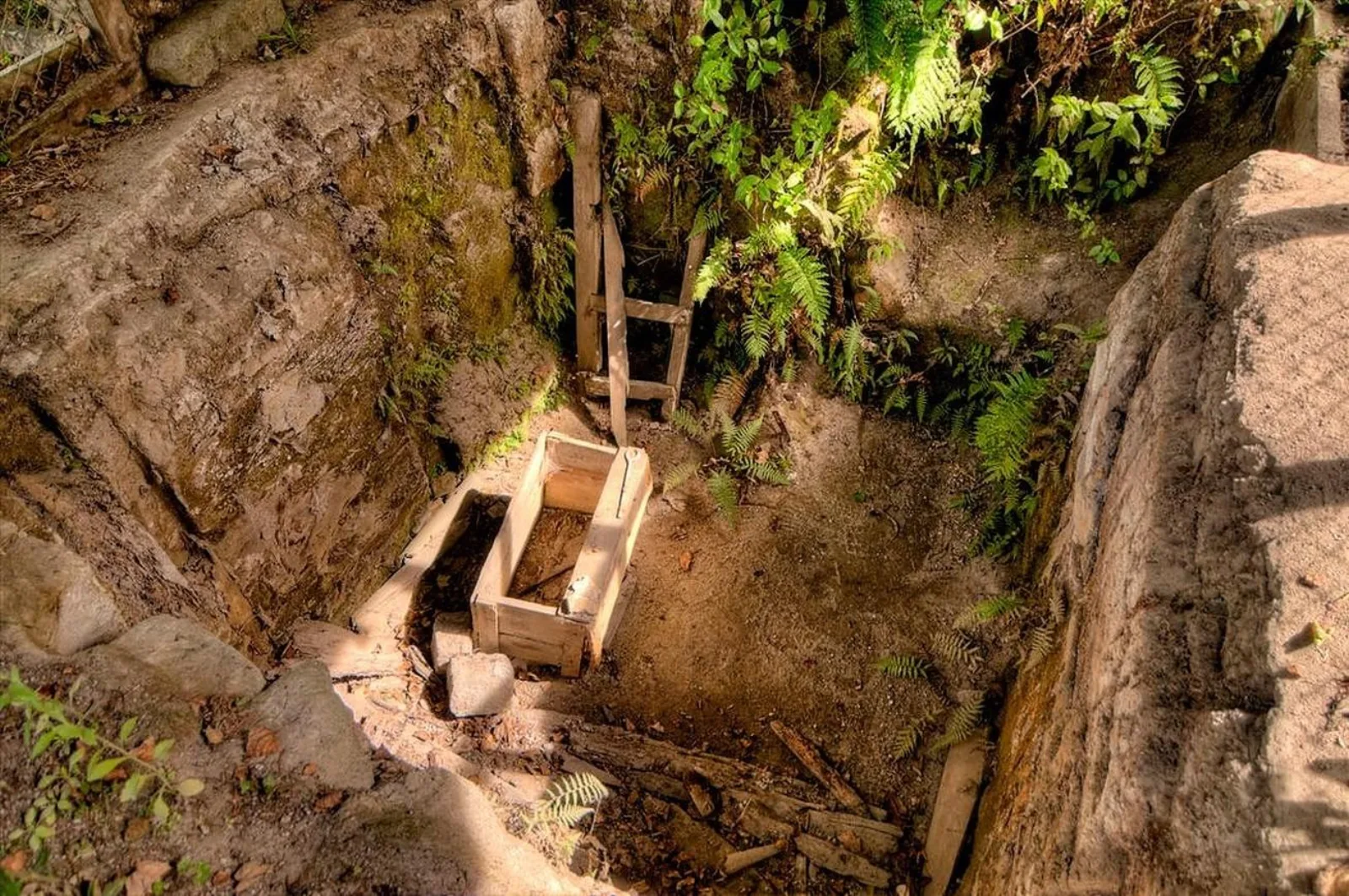 An excavated pit at Te Wairoa with a wooden trough uncovered in the ash layer