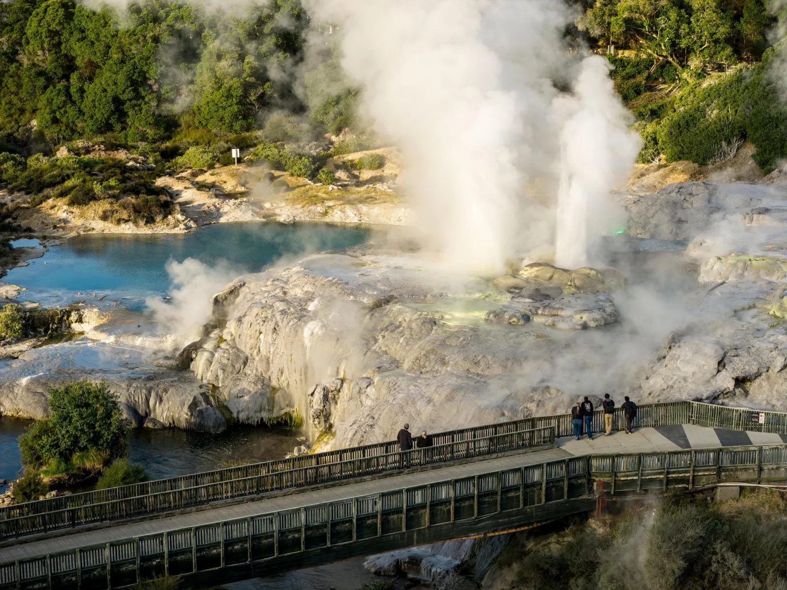 Pōhutu Geyser and the Prince of Wales Feathers erupting above the silica terraces, with the boardwalk in front