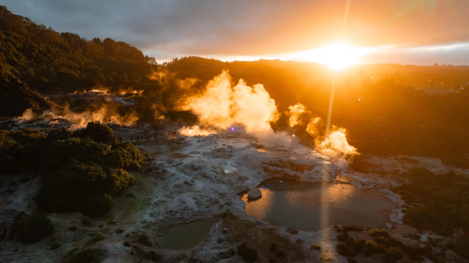 Te Puia Te Pō: Indigenous Combo — Day Tour, Hāngī Dinner & Haka
