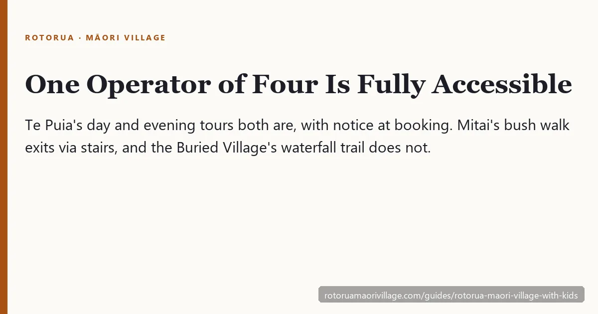 One operator of four is fully wheelchair accessible — Te Puia, with notice at booking