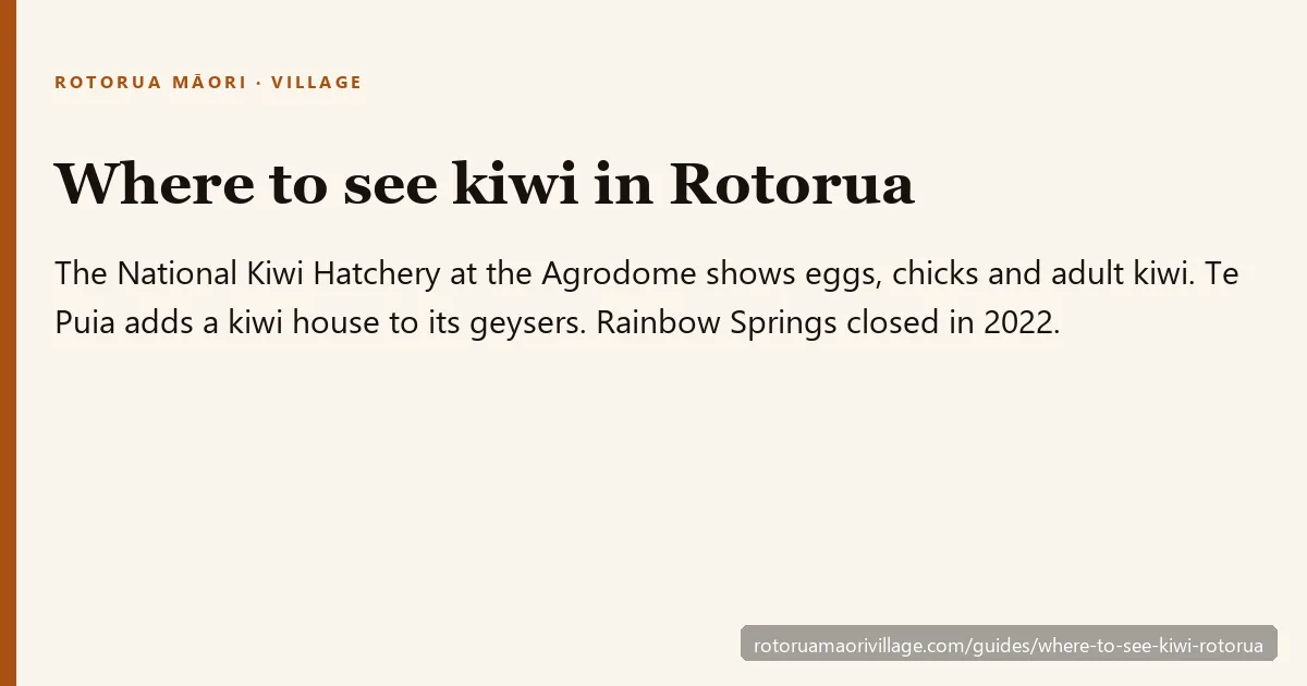 Where to see kiwi in Rotorua: the National Kiwi Hatchery at the Agrodome or Te Puia's kiwi house